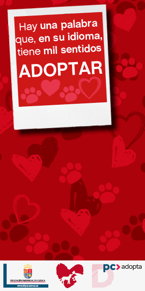 Adopta una mascota
