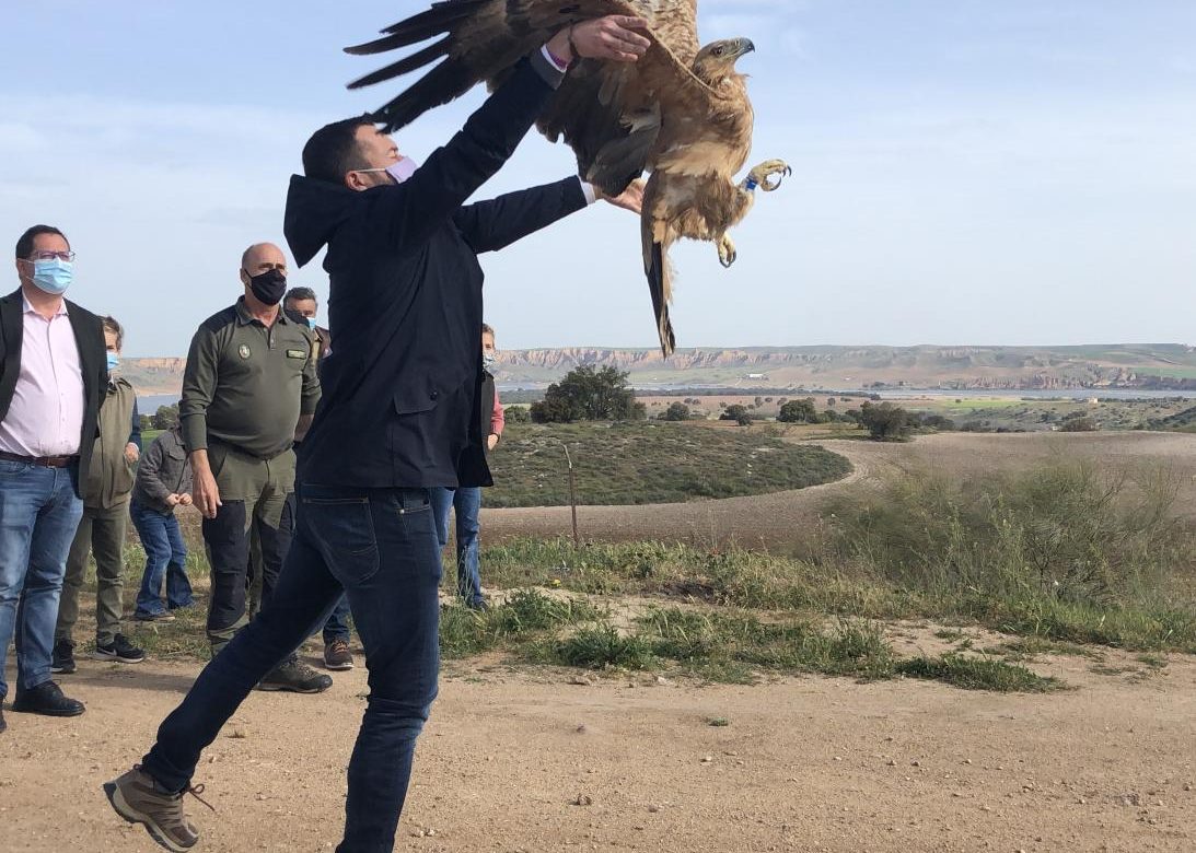 Día Mundial de las Aves y las Aves Migratorias