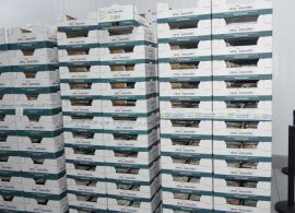 Las exportaciones de Cuenca sufren su séptimo mes consecutivo de descenso de ventas