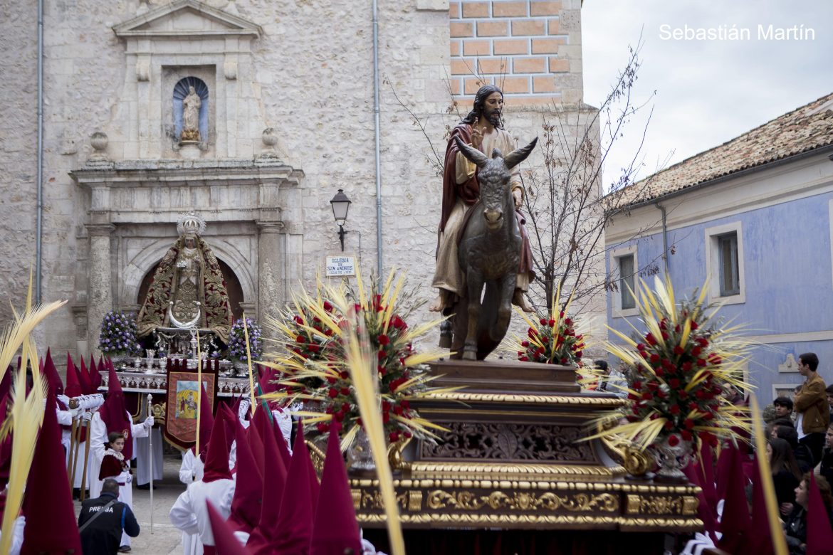 Domingo de Ramos. Foto de Sebastián Martín