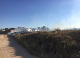 El Ayuntamiento sospecha de la posible intencionalidad de los últimos incendios en el paraje La Estrella