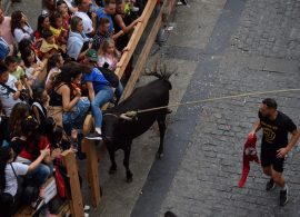 Quince atenciones y un traslado al hospital en el tercer día de vaquillas