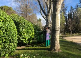 Aprobadas las bases para la contratación de 88 trabajadores con el Plan de Empleo de Cuenca