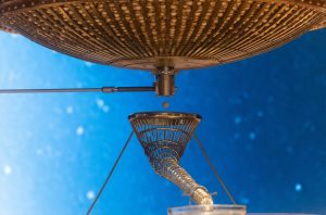 Foto: Eduardo Parra (Europa Press)