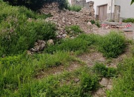 Verdelpino de Huete se muere de abandono