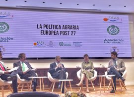 Romper el silencio de Cuenca