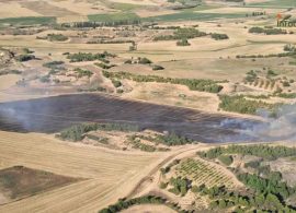 Controlado el incendio agrícola de Villanueva de Guadamejud