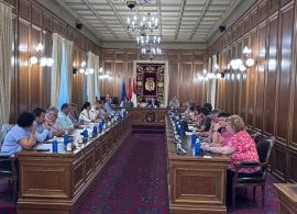 La Diputación pide la declaración de Zona Gravemente Afectada por el pedrisco para Casas de Benítez, Sisante y sus alrededores