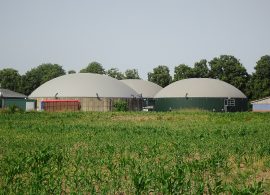 Ecologistas critican que se encargue la regulación de las plantas de biogás de C-LM a una empresa con intereses en el sector