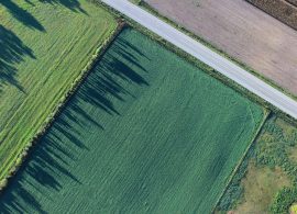El Centro Cartográfico de Castilla-La Mancha adquiere 24.700 fotografías de toda la región