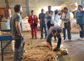 Distintivo a las mejores prácticas en consumo para  Wooldreamers de Mota del Cuervo y Mobhu de Cuenca