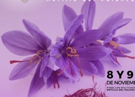 Gastronomía, talleres y música en las III Jornadas del Azafrán de Motilla