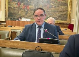 Prieto pide en el Senado apoyo para un mercado del ajo "parado" y amenazado por el producto chino y egipcio