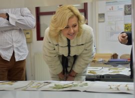 Más de 2.500 personas han pasado en 2025 por el Centro de Investigación de Albaladejito