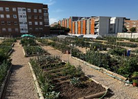 Abierto el plazo para solicitar una parcela de los Huertos Sociales de Cuenca