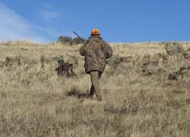 La consejera de Desarrollo Sostenible cree que prohibir a menores asistir a eventos de caza puede generar “controversia”