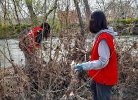 Cruz Roja organiza una jornada de limpieza del Júcar para retirar residuos de las crecidas de febrero