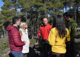 La Junta invierte 9 millones de euros en tratamientos silvícolas para prevenir incendios forestales en la provincia para Cuenca