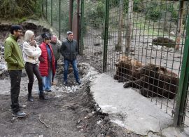 Comienza una nueva temporada en el parque de El Hosquillo
