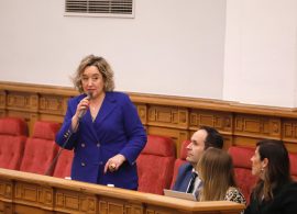 Cantarero denuncia que Page "haya vuelto a votar en contra de recuperar la carrera profesional sanitaria"