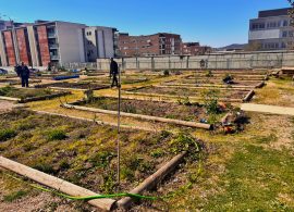 El Ayuntamiento quiere implantar nuevos huertos sociales en el barrio de Las Cañadillas