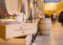 Un taller floral y un tour estelar, próximas propuestas de la bodega Finca Antigua de Los Hinojosos