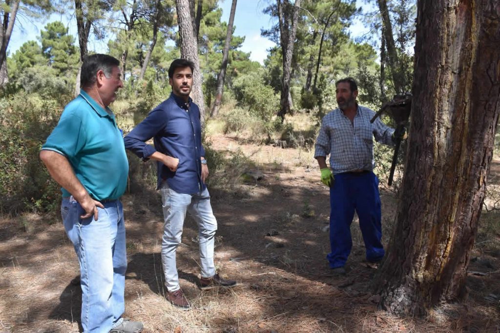 La Diputación de Cuenca destina 40.000 euros para apoyar a los trabajadores autónomos del sector de la resina