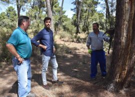 La Diputación de Cuenca destina 40.000 euros para apoyar a los trabajadores autónomos del sector de la resina