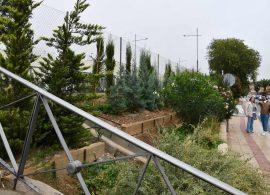 Tarancón celebra el Día del Medio Ambiente