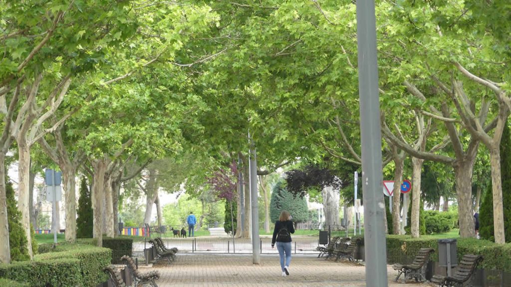 CEOE CEPYME Cuenca reafirma su compromiso con la sostenibilidad y la economía circular en el día mundial del medio ambiente