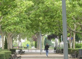 CEOE CEPYME Cuenca reafirma su compromiso con la sostenibilidad y la economía circular en el día mundial del medio ambiente