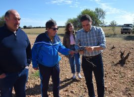 Un total de 65 cotos recibirán las ayudas al control de la sobrepoblación de conejos de la Diputación de Cuenca