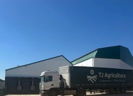 TJ Agricultura, la empresa quintanareña que lleva la cebolla de La Mancha a más de treinta países de todo el mundo