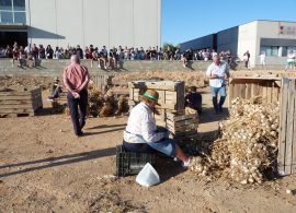 Un taller de remedios naturales, entre las novedades que traerá la Feria del Ajo de Las Pedroñeras