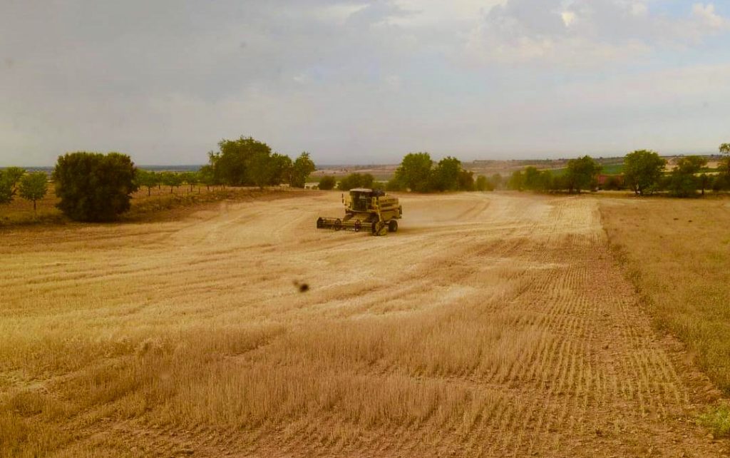 ASAJA Cuenca estima en seis millones las pérdidas por no poder cosechar en las zonas con nivel extremo de propagación de incendios