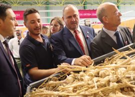 El Gobierno regional señala que apoyará al sector del ajo "defendiendo el agua para poder producir"
