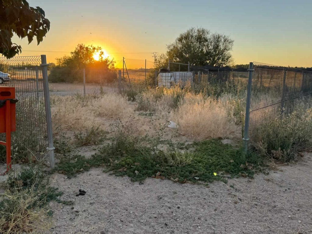 Unidas por Mota denuncia el abandono del pipicán municipal y exige una actuación inmediata del Ayuntamiento