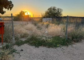Unidas por Mota denuncia el abandono del pipicán municipal y exige una actuación inmediata del Ayuntamiento