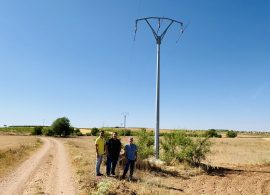 El Gobierno regional ha corregido más de 6.000 apoyos eléctricos para proteger a la avifauna en Cuenca