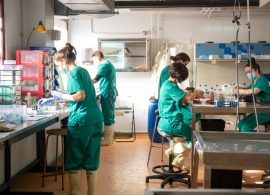 La UCLM busca 30 investigadores en la convocatoria de contratación postdoctoral más ambiciosa de su historia