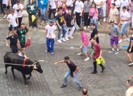 La primera tarde de San Mateo se salda con 16 atenciones y sin heridas de asta de la vaquilla