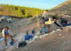 Rinocerontes, cocodrilos y dientes de sable entre los hallazgos de dos años de excavaciones en Cerro Arenoso y Valquemado