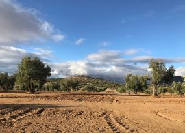 ASAJA C-LM rechaza que el desarrollo rural se financie con las ayudas directas de los agricultores y ganaderos