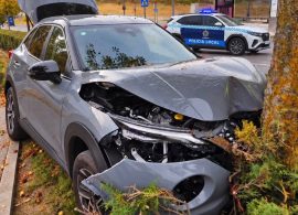Herido un hombre tras colisionar contra un árbol en la Avenida de la Música Española