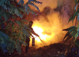 Un policía local extingue un fuego en un contenedor de Antonio Maura antes de que alcanzara una zona arbolada